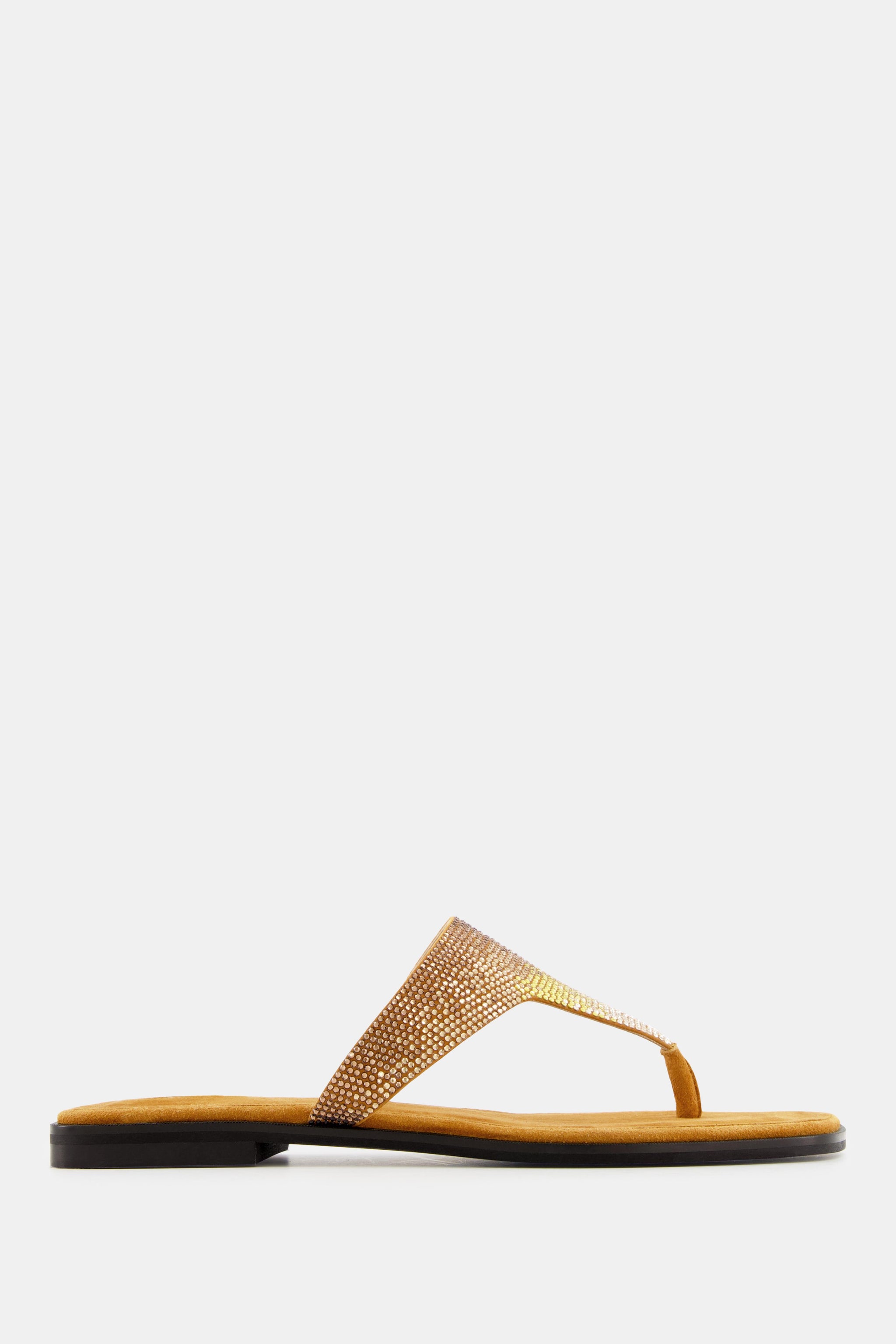 NODALETO - Official Website